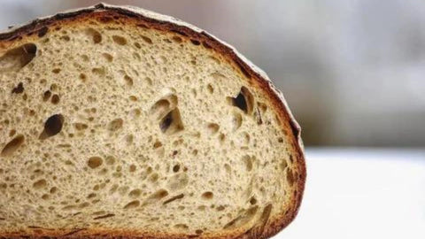 Brot füttern: Ja oder Nein?