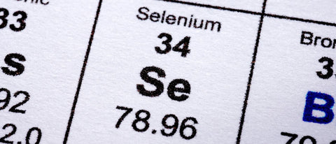 Selen bei Pferden » Die wichtige Bedeutung des Minerals