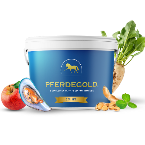 Pferdegold® Joint