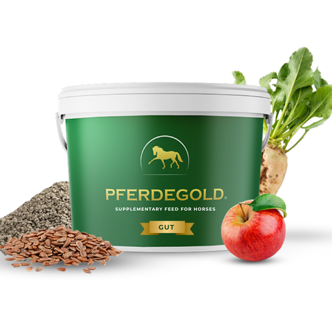 Pferdegold® Gut