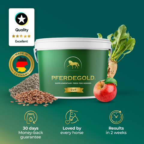 Pferdegold® Gut