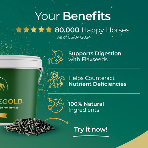 Pferdegold® Gut