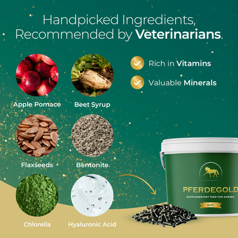 Pferdegold® Gut