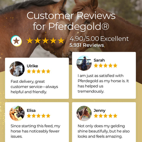 Pferdegold® Gut