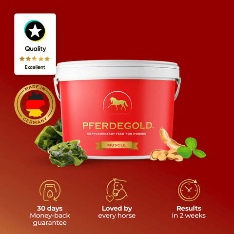 A red Pferdegold® Muscle tub with a horse logo is shown. Icons highlight money-back guarantee, horse approval, and visible results in 2 weeks. The supplement is made in Germany with natural ingredients.