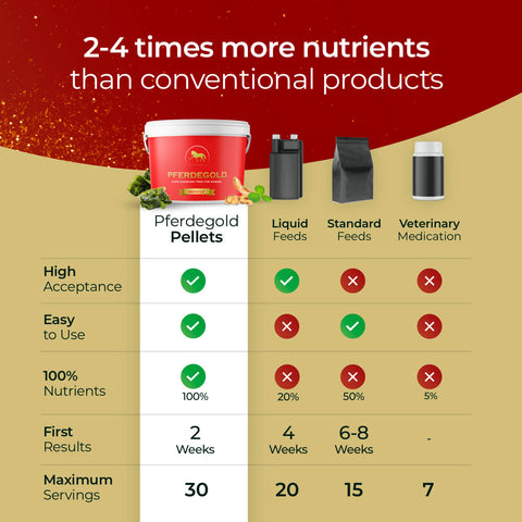 Comparison chart showing how Pferdegold® Muscle outperforms other horse products—with higher nutrient content, easier use, quicker results, and more servings than standard or liquid feeds.