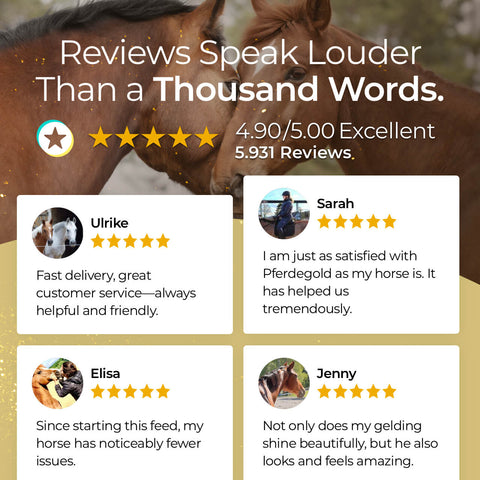 A testimonial graphic shows horses and four 5-star reviews for Pferdegold® Muscle, customer service, and visible results in horses. Bold text highlights an outstanding 4.9/5 rating from 5,931 reviews for this product.