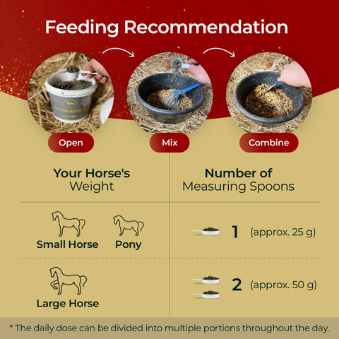 Infographic: How to feed Pferdegold® Muscle—Open container, measure, mix with feed. Use 1 spoon (25g) for small horses/ponies, 2 spoons (50g) for large horses daily. Split daily dose into several portions.