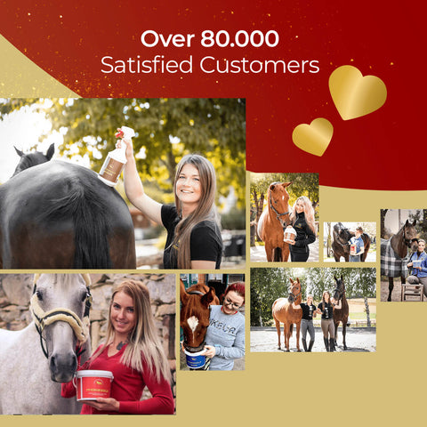 A collage of smiling people with horses, holding and using Pferdegold® Muscle, with text above reading Over 80,000 Satisfied Customers on a red and gold background with heart icons.