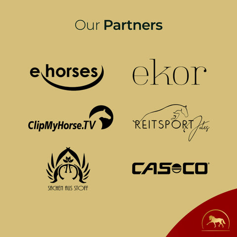 A beige graphic titled Our Partners features six partner logos—including ehorses, ekor, ClipMyHorse.TV, Reitsport Jules, Sachen aus Stoff, and CASECO—showcasing trusted partners of Pferdegold® Muscle. A small horse logo is in the bottom right corner.