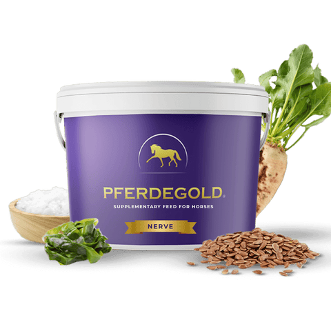 A purple Pferdegold® Nerve tub with a yellow horse logo stands beside a bowl of white powder, green leaves, flax seeds, and a sugar beet—ein Beispiel der hochwertigen Produkte von Pferde-Gold.