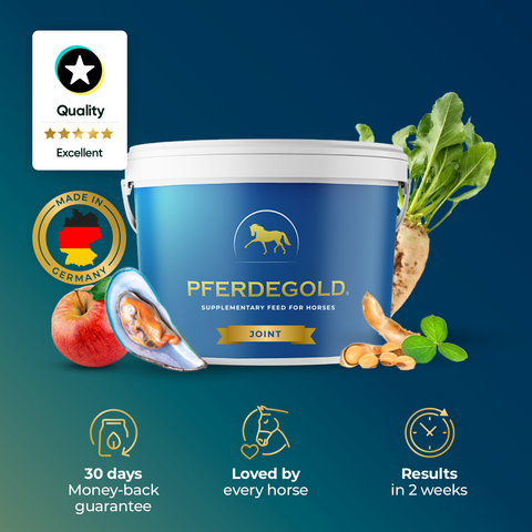 Pferdegold® Joint