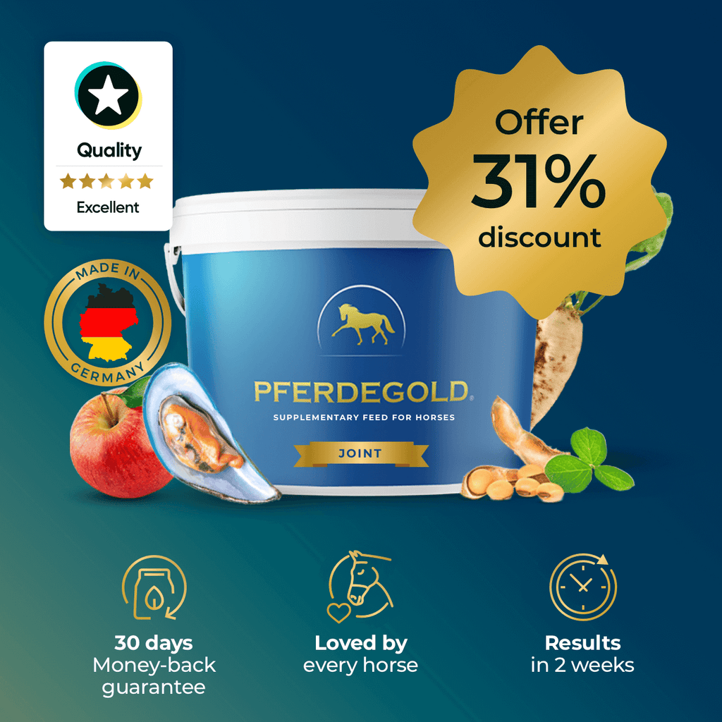 Pferdegold® voeg - 31% korting – Pferdegold-International
