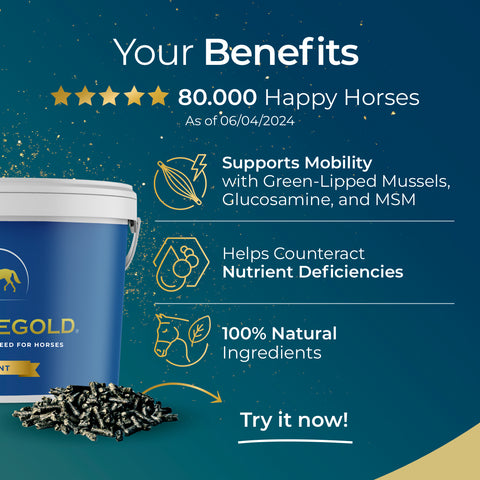 Pferdegold® Joint