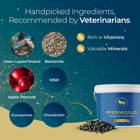 Pferdegold® Joint