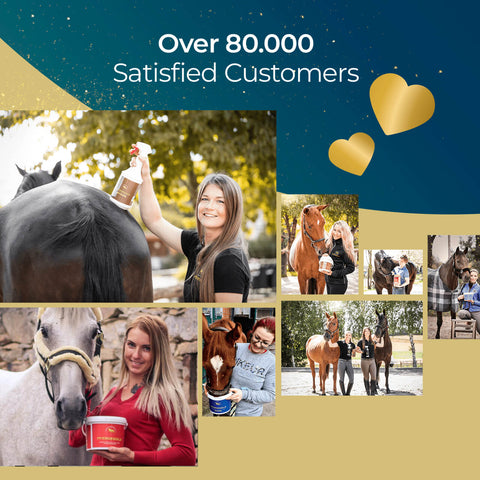Pferdegold® voeg - 31% korting