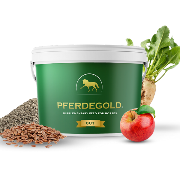 Pferdegold® Gut