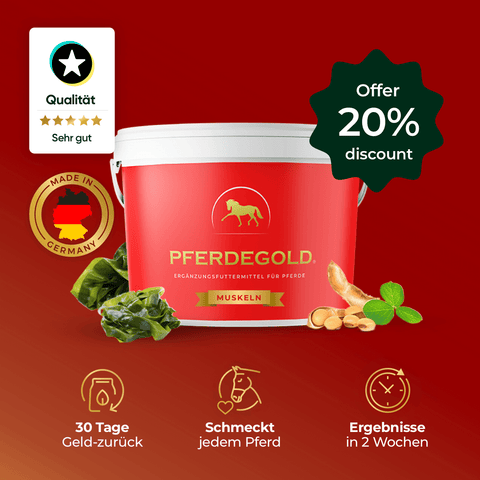 Pferdegold® Muscle - 20% Discount