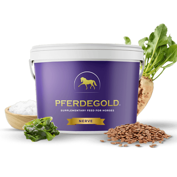 A purple Pferdegold® Nerve tub with a yellow horse logo stands beside a bowl of white powder, green leaves, flax seeds, and a sugar beet—ein Beispiel der hochwertigen Produkte von Pferde-Gold.